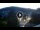 Webcam in Baden-Baden, 18 mi away