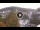 Webcam in Baden-Baden, 5.7 mi away