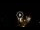 Webcam in Baden-Baden, 7.1 mi away