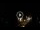 Webcam in Baden-Baden, 7.3 mi away