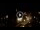 Webcam in Baden-Baden, 7.1 mi away