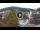 Webcam in Baden-Baden, 29.9 km entfernt