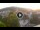 Webcam in Baden-Baden, 12.1 mi away