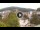 Webcam in Baden-Baden, 8.8 mi away
