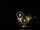 Webcam in Baden-Baden, 12.1 mi away