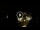 Webcam in Baden-Baden, 8.5 mi away