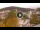 Webcam in Baden-Baden, 10.9 mi away