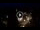 Webcam in Baden-Baden, 12.1 mi away