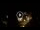 Webcam in Baden-Baden, 12.1 mi away