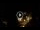 Webcam in Baden-Baden, 10.9 mi away