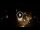 Webcam in Baden-Baden, 9.8 mi away
