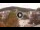 Webcam in Baden-Baden, 23.5 km