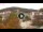 Webcam in Baden-Baden, 31.3 km