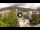 Webcam in Baden-Baden, 8.8 mi away