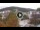 Webcam in Baden-Baden, 15.7 km