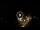 Webcam in Baden-Baden, 12.1 mi away