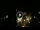 Webcam in Baden-Baden, 8.5 mi away
