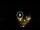 Webcam in Baden-Baden, 22.1 km