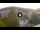 Webcam in Baden-Baden, 11.5 mi away