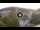 Webcam in Baden-Baden, 9.2 km