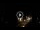 Webcam in Baden-Baden, 18 mi away