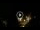 Webcam in Baden-Baden, 12.1 mi away