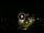 Webcam in Baden-Baden, 9.8 mi away