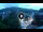Webcam in Baden-Baden, 5.8 mi away