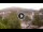 Webcam in Baden-Baden, 7.1 mi away