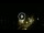 Webcam in Baden-Baden, 18 mi away