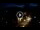 Webcam in Baden-Baden, 12.7 mi away