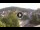 Webcam in Baden-Baden, 22.1 km