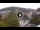 Webcam in Baden-Baden, 20.7 km