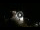 Webcam in Caorle, 7.9 mi away