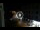 Webcam in Caorle, 0.4 mi away