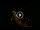 Webcam in Caorle, 0.2 km