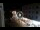 Webcam in Caorle, 0.1 mi away