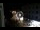 Webcam in Caorle, 0.5 mi away