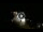 Webcam in Caorle, 7.9 mi away