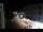 Webcam in Caorle, 0.1 mi away