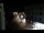 Webcam in Caorle, 0.3 mi away