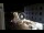 Webcam in Caorle, 1.3 km