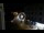 Webcam in Caorle, 0.1 mi away