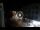 Webcam in Caorle, 0.1 mi away