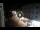 Webcam in Caorle, 0.1 mi away