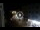 Webcam in Caorle, 0.3 km