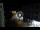 Webcam in Caorle, 7.8 km