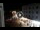 Webcam in Caorle, 0.4 km