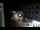 Webcam in Caorle, 0.5 km entfernt