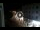 Webcam in Caorle, 1.1 km